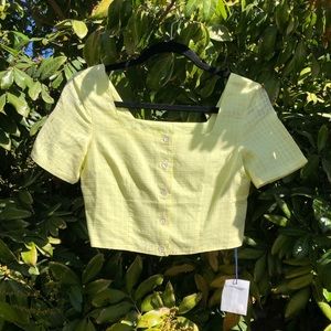 NWT Paloma wool lenna crop square neck top